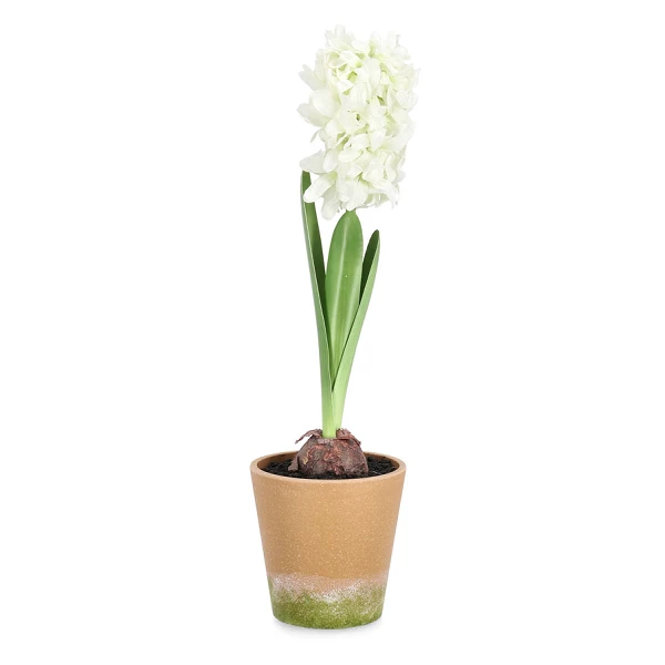 PLANTA JACINTO CON MACETERO BLANCO H52CM