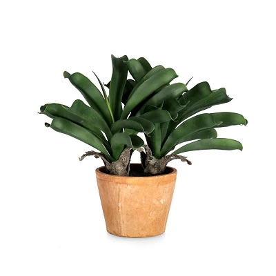 comprar PLANTA ANANAS CON MACETERO X2TR H43CM online de BIZZOTTO desde 60,98 € comprar PLANTA ANANAS CON MACETERO X2TR H43CM online de BIZZOTTO desde 60,98 €
