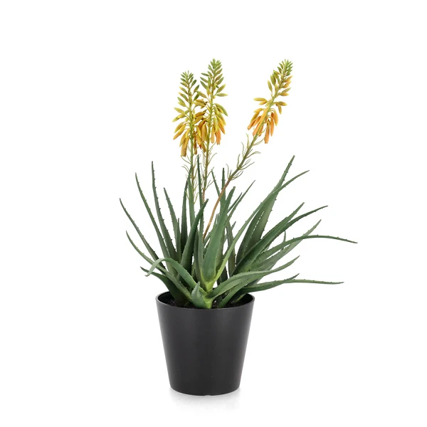 PLANTA ALOE CON MACETERO X3F H51CM