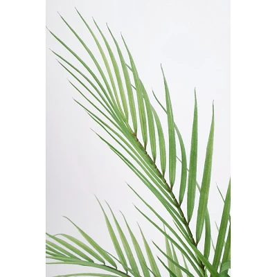 comprar PLANTA PALMA CON MACETERO 8HOJAS H58CM online de BIZZOTTO desde 28,10 € comprar PLANTA PALMA CON MACETERO 8HOJAS H58CM online de BIZZOTTO desde 28,10 €