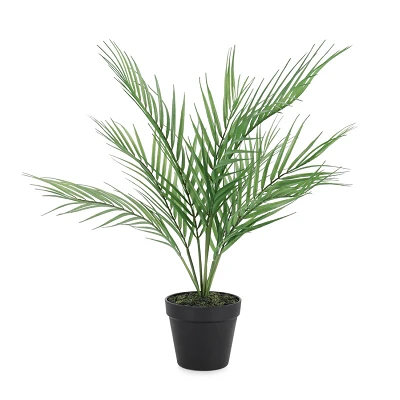 comprar PLANTA PALMA CON MACETERO 8HOJAS H58CM online de BIZZOTTO desde 28,10 € comprar PLANTA PALMA CON MACETERO 8HOJAS H58CM online de BIZZOTTO desde 28,10 €
