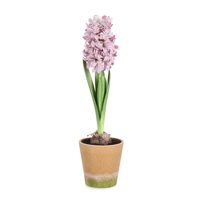comprar PLANTA JACINTO CON MACETERO ROSA H52CM online de BIZZOTTO desde 33,32 € comprar PLANTA JACINTO CON MACETERO ROSA H52CM online de BIZZOTTO desde 33,32 €