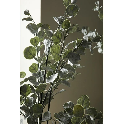 comprar PLANTA EUCALIPTO CON MACETERO H82 online de BIZZOTTO desde 47,92 € comprar PLANTA EUCALIPTO CON MACETERO H82 online de BIZZOTTO desde 47,92 €