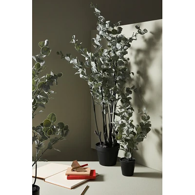 comprar PLANTA EUCALIPTO CON MACETERO H82 online de BIZZOTTO desde 47,92 € comprar PLANTA EUCALIPTO CON MACETERO H82 online de BIZZOTTO desde 47,92 €