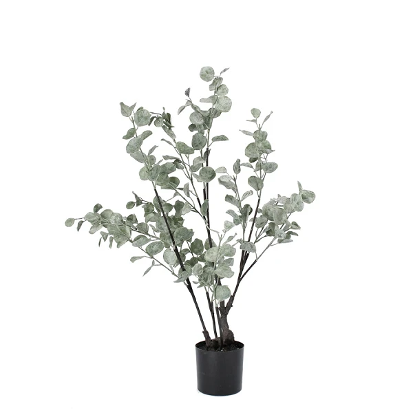 PLANTA EUCALIPTO CON MACETERO H82