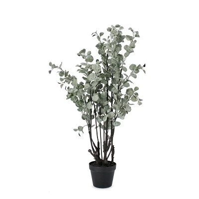 comprar PLANTA EUCALIPTO CON MACETERO H110 online de BIZZOTTO desde 92,57 € comprar PLANTA EUCALIPTO CON MACETERO H110 online de BIZZOTTO desde 92,57 €