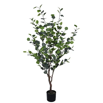 comprar PLANTA EUCALIPTO CON MACETERO H150 online de BIZZOTTO desde 84,94 € comprar PLANTA EUCALIPTO CON MACETERO H150 online de BIZZOTTO desde 84,94 €