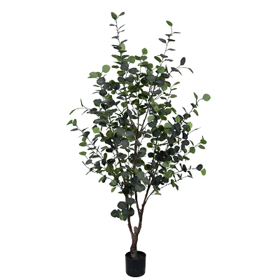 comprar PLANTA EUCALIPTO CON MACETERO H180 online de BIZZOTTO desde 118,70 € comprar PLANTA EUCALIPTO CON MACETERO H180 online de BIZZOTTO desde 118,70 €
