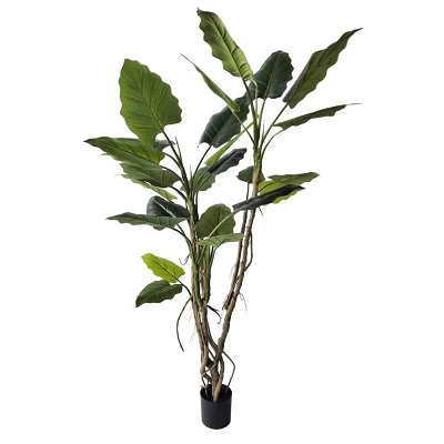 comprar PLANTA ALOCASIA CON MACETERO H150 online de BIZZOTTO desde 200,38 € comprar PLANTA ALOCASIA CON MACETERO H150 online de BIZZOTTO desde 200,38 €