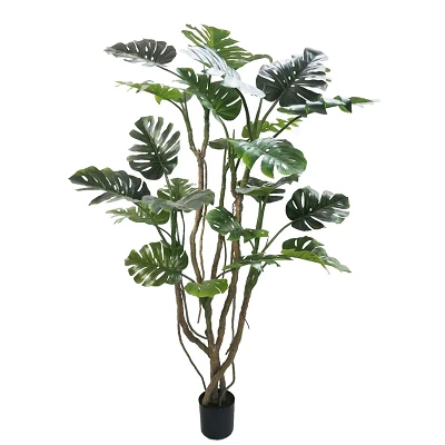comprar PLANTA MONSTERA CON MACETERO H210 online de BIZZOTTO desde 246,11 € comprar PLANTA MONSTERA CON MACETERO H210 online de BIZZOTTO desde 246,11 €