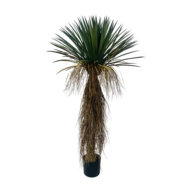 PLANTA YkKA ROSTATA CON MACETERO H150