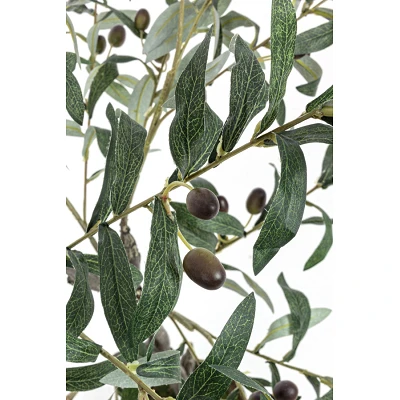 comprar PLANTA OLIVO CON MACETERO 492HOJ H120 online de BIZZOTTO desde 95,83 € comprar PLANTA OLIVO CON MACETERO 492HOJ H120 online de BIZZOTTO desde 95,83 €