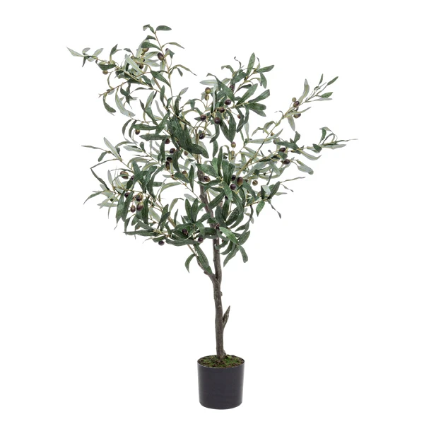 PLANTA OLIVO CON MACETERO 492HOJ H120