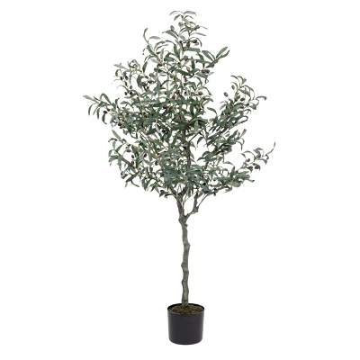 comprar PLANTA OLIVO CON MACETERO 984HOJ H150 online de BIZZOTTO desde 204,73 € comprar PLANTA OLIVO CON MACETERO 984HOJ H150 online de BIZZOTTO desde 204,73 €