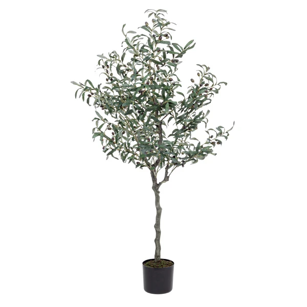 PLANTA OLIVO CON MACETERO 984HOJ H150