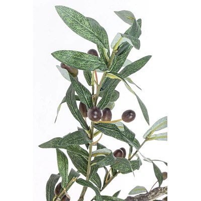 comprar PLANTA OLIVO CON MACETERO 984HOJ H150 online de BIZZOTTO desde 204,73 € comprar PLANTA OLIVO CON MACETERO 984HOJ H150 online de BIZZOTTO desde 204,73 €