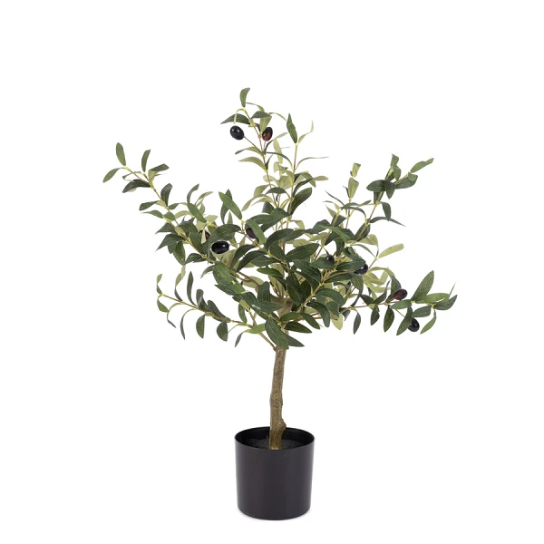 PLANTA OLIVO CON MACETERO H65