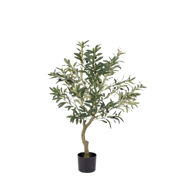 PLANTA OLIVO CON MACETERO H90