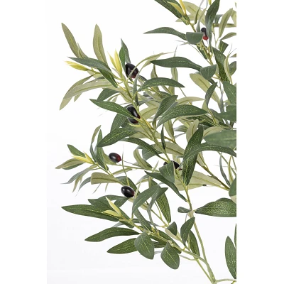 comprar PLANTA OLIVO CON MACETERO H90 online de BIZZOTTO desde 51,18 € comprar PLANTA OLIVO CON MACETERO H90 online de BIZZOTTO desde 51,18 €