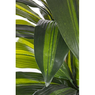 comprar PLANTA DRACENA CON MACETERO 43HOJ H88CM online de BIZZOTTO desde 55,54 € comprar PLANTA DRACENA CON MACETERO 43HOJ H88CM online de BIZZOTTO desde 55,54 €