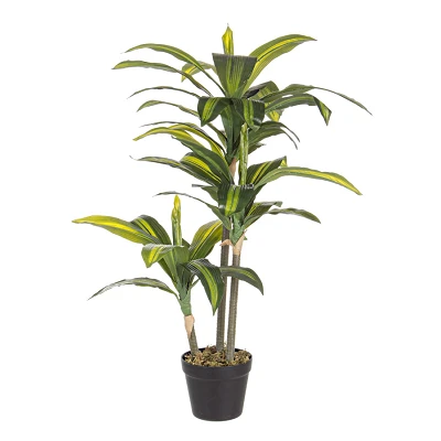 comprar PLANTA DRACENA CON MACETERO 43HOJ H88CM online de BIZZOTTO desde 55,54 € comprar PLANTA DRACENA CON MACETERO 43HOJ H88CM online de BIZZOTTO desde 55,54 €