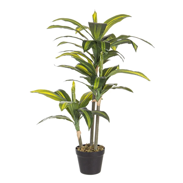 PLANTA DRACENA CON MACETERO 43HOJ H88CM