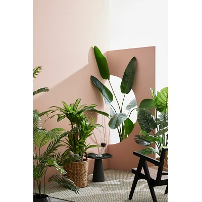 comprar PLANTA DRACENA CON MACETERO 65HOJAS H110 online de BIZZOTTO desde 88,21 € comprar PLANTA DRACENA CON MACETERO 65HOJAS H110 online de BIZZOTTO desde 88,21 €