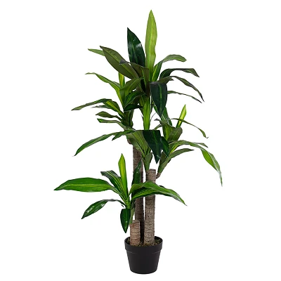 comprar PLANTA DRACENA CON MACETERO 65HOJAS H110 online de BIZZOTTO desde 88,21 € comprar PLANTA DRACENA CON MACETERO 65HOJAS H110 online de BIZZOTTO desde 88,21 €