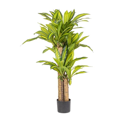 comprar PLANTA ÁRBOL DRAGÓN CON MACETERO H130 online de BIZZOTTO desde 113,26 € comprar PLANTA ÁRBOL DRAGÓN CON MACETERO H130 online de BIZZOTTO desde 113,26 €