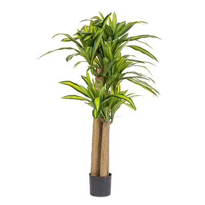 comprar PLANTA ÁRBOL DRAGÓN CON MACETERO H150 online de BIZZOTTO desde 149,19 € comprar PLANTA ÁRBOL DRAGÓN CON MACETERO H150 online de BIZZOTTO desde 149,19 €