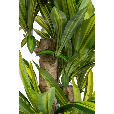 comprar PLANTA ÁRBOL DRAGÓN CON MACETERO H150 online de BIZZOTTO desde 149,19 € comprar PLANTA ÁRBOL DRAGÓN CON MACETERO H150 online de BIZZOTTO desde 149,19 €