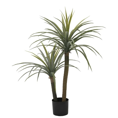comprar PLANTA DRACAENA CON MACETERO H110 online de BIZZOTTO desde 53,36 € comprar PLANTA DRACAENA CON MACETERO H110 online de BIZZOTTO desde 53,36 €