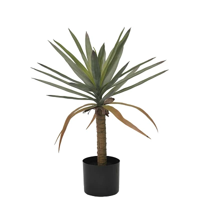 comprar PLANTA DRACAENA CON MACETERO H62 online de BIZZOTTO desde 29,84 € comprar PLANTA DRACAENA CON MACETERO H62 online de BIZZOTTO desde 29,84 €