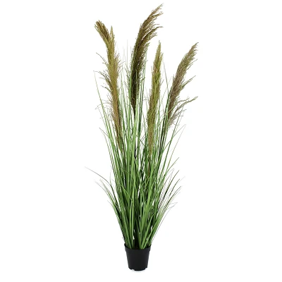 comprar PLANTA CARINE PAMPAS VERD MARR C-MA H145 online de BIZZOTTO desde 88,21 € comprar PLANTA CARINE PAMPAS VERD MARR C-MA H145 online de BIZZOTTO desde 88,21 €