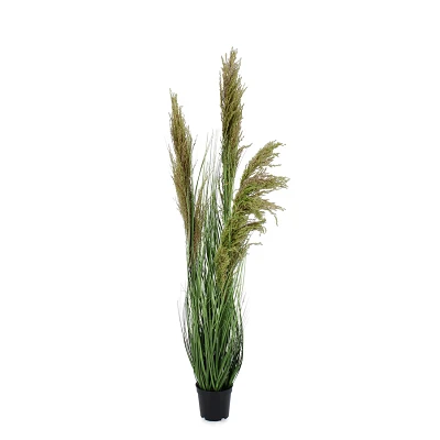 comprar PLANTA CARINE PAMPAS VERD MAR C-MA H96,5 online de BIZZOTTO desde 39,42 € comprar PLANTA CARINE PAMPAS VERD MAR C-MA H96,5 online de BIZZOTTO desde 39,42 €