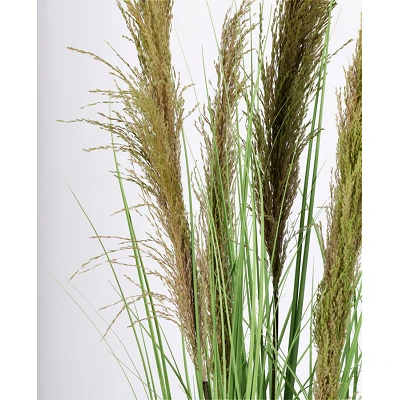 comprar PLANTA CARINE PAMPAS VERD MAR C-MA H96,5 online de BIZZOTTO desde 39,42 € comprar PLANTA CARINE PAMPAS VERD MAR C-MA H96,5 online de BIZZOTTO desde 39,42 €