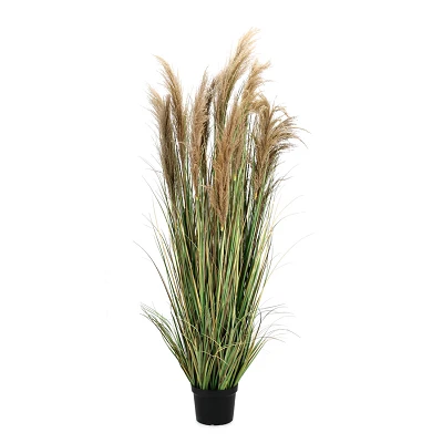 comprar PLANTA AUSTORDERIA PAMPAS CON MACETERO H180 online de BIZZOTTO desde 246,11 € comprar PLANTA AUSTORDERIA PAMPAS CON MACETERO H180 online de BIZZOTTO desde 246,11 €