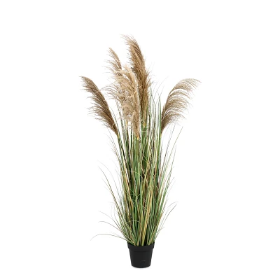 comprar PLANTA AUSTORDERIA PAMPAS CON MACETERO H170 online de BIZZOTTO desde 125,24 € comprar PLANTA AUSTORDERIA PAMPAS CON MACETERO H170 online de BIZZOTTO desde 125,24 €