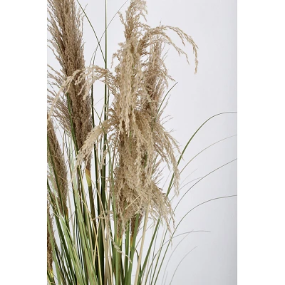 comprar PLANTA AUSTORDERIA PAMPAS CON MACETERO H145 online de BIZZOTTO desde 68,61 € comprar PLANTA AUSTORDERIA PAMPAS CON MACETERO H145 online de BIZZOTTO desde 68,61 €