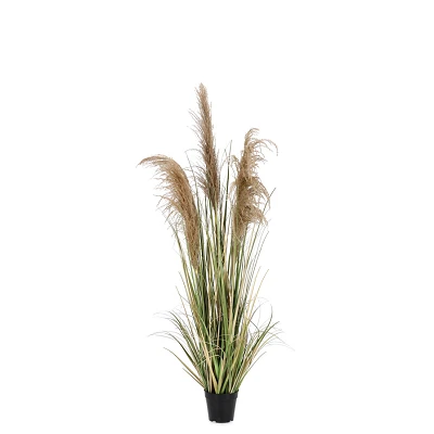comprar PLANTA AUSTORDERIA PAMPAS CON MACETERO H145 online de BIZZOTTO desde 68,61 € comprar PLANTA AUSTORDERIA PAMPAS CON MACETERO H145 online de BIZZOTTO desde 68,61 €