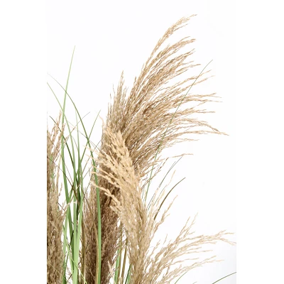 comprar PLANTA AUSTORDERIA PAMPAS CON MACETERO H90 online de BIZZOTTO desde 42,69 € comprar PLANTA AUSTORDERIA PAMPAS CON MACETERO H90 online de BIZZOTTO desde 42,69 €