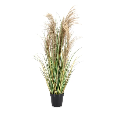 comprar PLANTA AUSTORDERIA PAMPAS CON MACETERO H90 online de BIZZOTTO desde 42,69 € comprar PLANTA AUSTORDERIA PAMPAS CON MACETERO H90 online de BIZZOTTO desde 42,69 €
