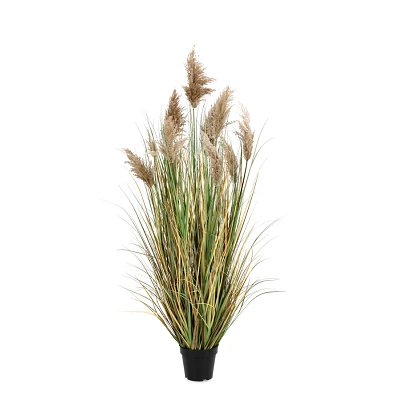 comprar PLANTA GYNERIUM PAMPAS CON MACETERO H150 online de BIZZOTTO desde 135,04 € comprar PLANTA GYNERIUM PAMPAS CON MACETERO H150 online de BIZZOTTO desde 135,04 €