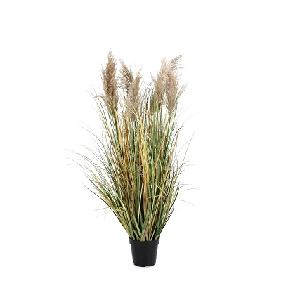 comprar PLANTA GYNERIUM PAMPAS CON MACETERO H120 online de BIZZOTTO desde 90,39 € comprar PLANTA GYNERIUM PAMPAS CON MACETERO H120 online de BIZZOTTO desde 90,39 €