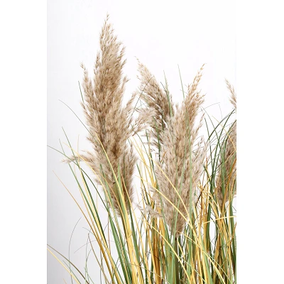 comprar PLANTA GYNERIUM PAMPAS CON MACETERO H120 online de BIZZOTTO desde 90,39 € comprar PLANTA GYNERIUM PAMPAS CON MACETERO H120 online de BIZZOTTO desde 90,39 €