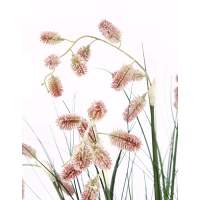 comprar PLANTA GREVILLEA ROSA CON MACETEROET X5F H100 online de BIZZOTTO desde 58,81 € comprar PLANTA GREVILLEA ROSA CON MACETEROET X5F H100 online de BIZZOTTO desde 58,81 €