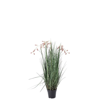 comprar PLANTA GREVILLEA ROSA CON MACETEROET X5F H100 online de BIZZOTTO desde 58,81 € comprar PLANTA GREVILLEA ROSA CON MACETEROET X5F H100 online de BIZZOTTO desde 58,81 €
