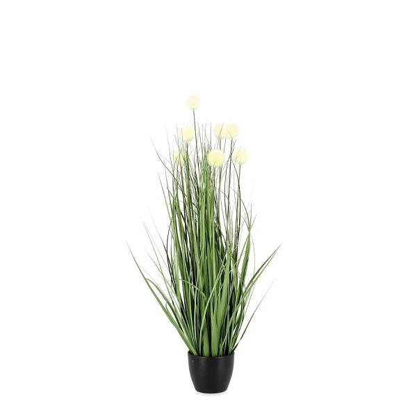 PLANTA ERIOPHORUM BLANCO CON MACETEROET X7F H68