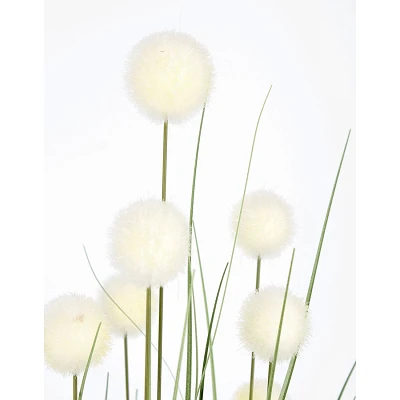 comprar PLANTA ERIOPHORUM BLAN CON MACETEROET X10F H110 online de BIZZOTTO desde 46,83 € comprar PLANTA ERIOPHORUM BLAN CON MACETEROET X10F H110 online de BIZZOTTO desde 46,83 €