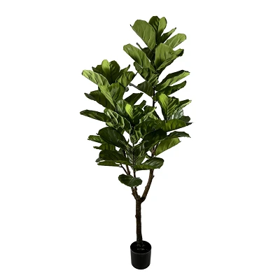 comprar PLANTA FICUS LYRATA CON MACETERO 60HOJAS H180 online de BIZZOTTO desde 135,04 € comprar PLANTA FICUS LYRATA CON MACETERO 60HOJAS H180 online de BIZZOTTO desde 135,04 €